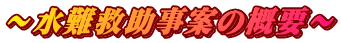 ～水難救助事案の概要～